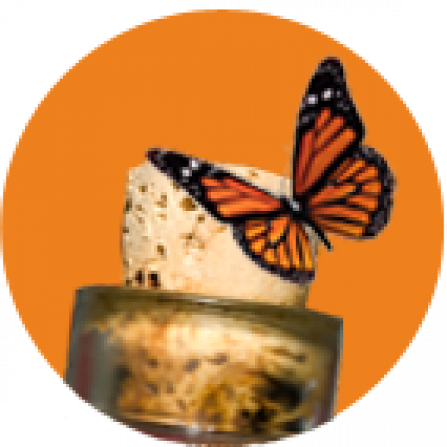 Likörideen - Essen Trinken Genuss - Höckendorf