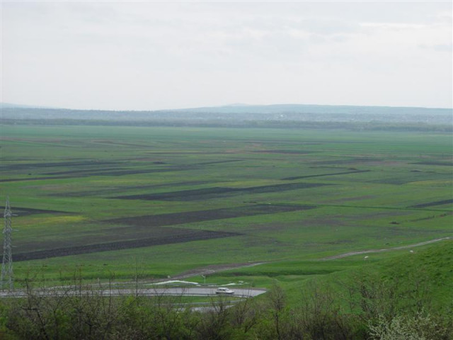 Ackerland in Rumaenien Kaufen - Immobilien - Braila