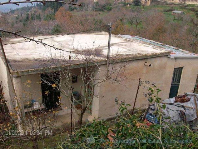 Unser Angebot nahe der Ortschaft Aegira auf dem Peloponnes/Griechenland - Immobilien - Peloponnes