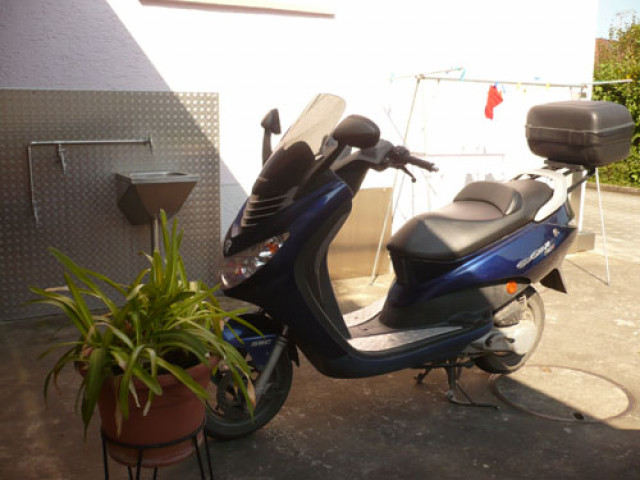 Peugeot Elystar 50 ccm TSDI/SBC - Motorrad Specials - Tübingen