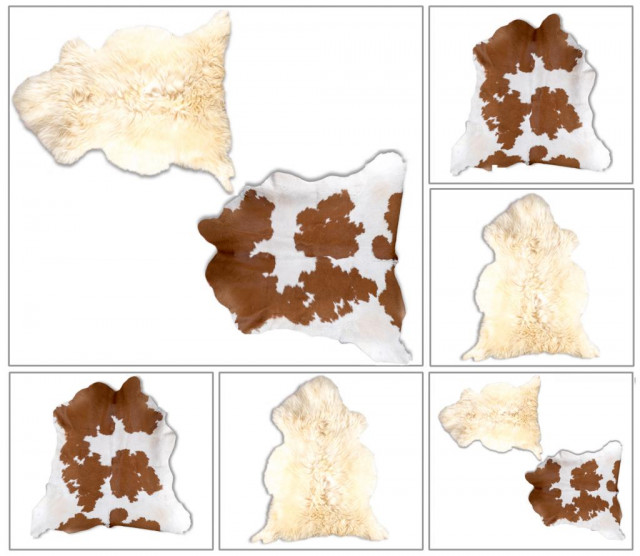 ORIGINAL SCHAFSPELZ ECHTERFELL TEPPICH FELL VORLEGER NATURFELL - Moebel Haushalt - Olbersdorf