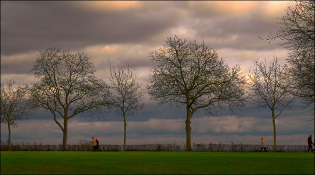 Schicke 2 ZWhg in Ffm Seckbach - Vermietungen - Frankfurt