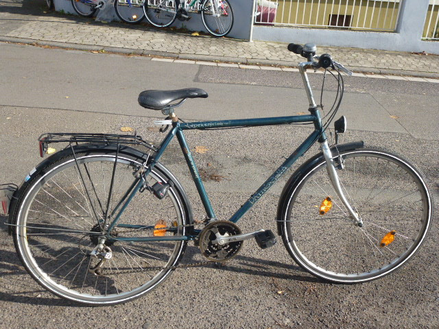 (161) 21 Gang 28 Zoll PATAGONIA Rh 55 mit ALU-FELGEN - Fahrraeder - Mainz