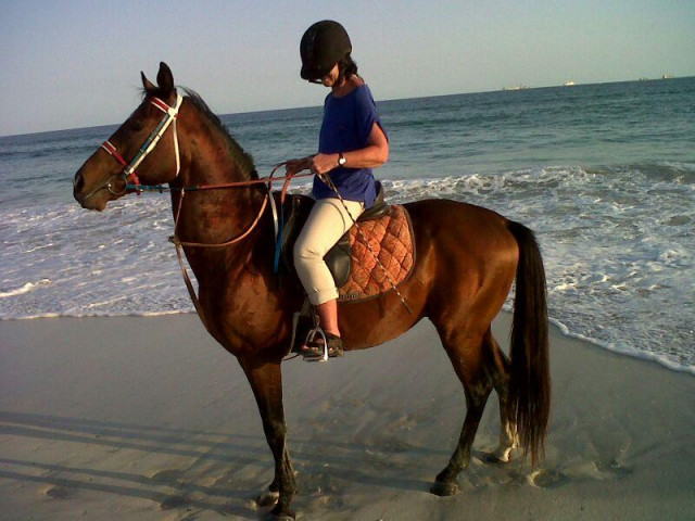 Reiten in Salalah, Oman - Urlaub Reise - Berlin