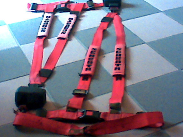 SCHROTHGURTE VON ASM AUTOCONTROLL - Sonstige Anzeigen - Coppenbrügge