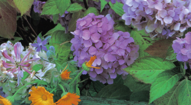 Ratgeber, Tips und Kommunikation... - Kommunikation - Köln und bundesweit