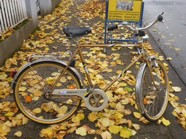 (225) 3 Gang Rücktrittsbremse 26 Zoll Rh 56 - Fahrraeder - Mainz