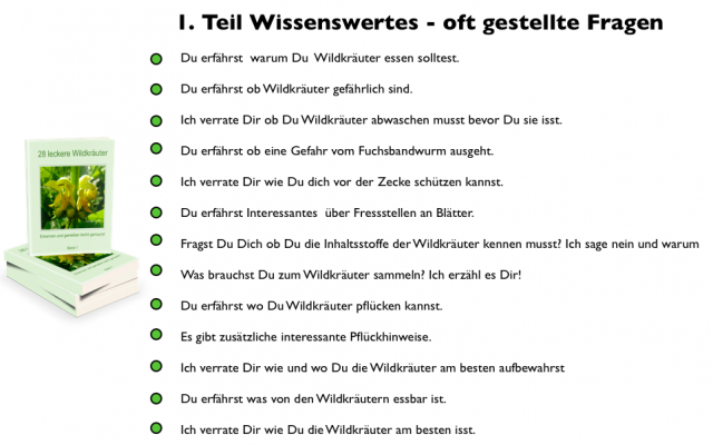 Wildkräutersammlung - Wellness Gesundheit - Bernitt