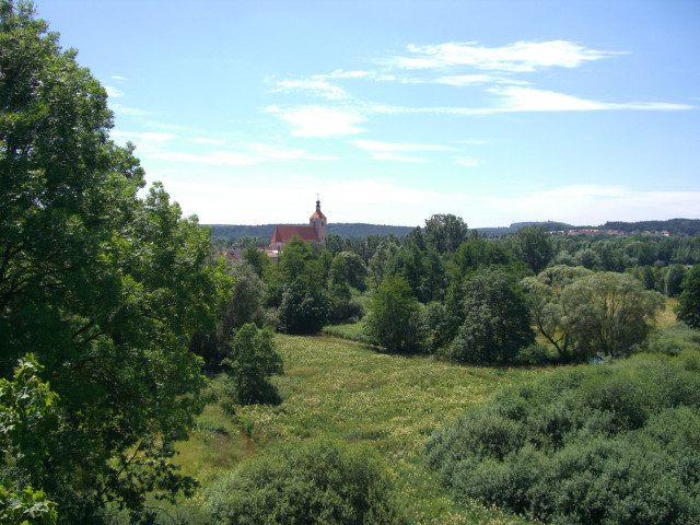 Wanderung auf dem Oberpfälzer Bienenlehrpfad - Veranstaltungen Termine - Amberg