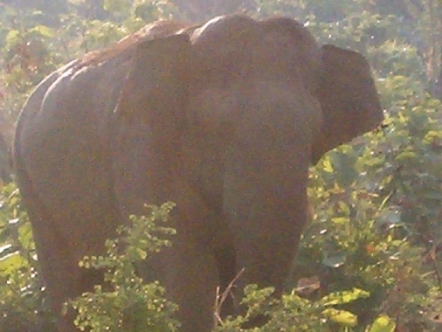 Biete günstige Reiseangebote Ihre Traumreise Sri Lanka an, - Urlaub Reise - Colombo Sri lanka,