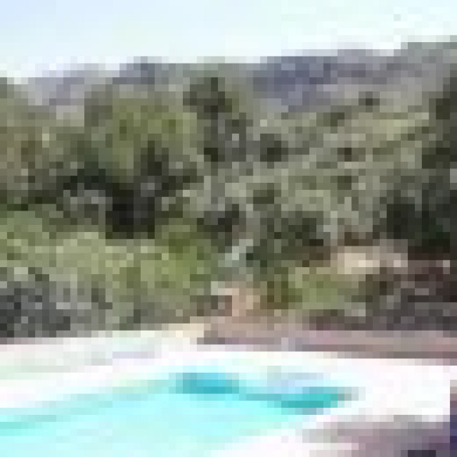 Urlaub im Ferienhaus auf den Kanaren El Palmeral del Valle - Urlaub Reise - Poris de Abona