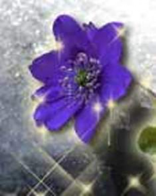 Gratisgespräche für jeden Neukunden - Dienstleistungen Business Gewerbe - Bad Kleinen