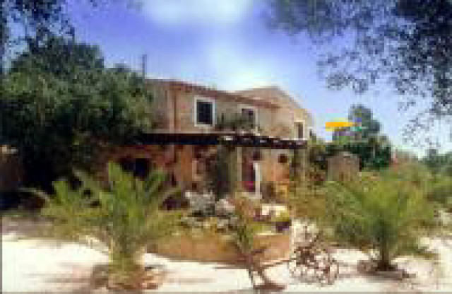 Mallorca: Fincaurlaub zur Mandelblüte und Ostern 2007 noch frei! - Urlaub Reise - Warburg