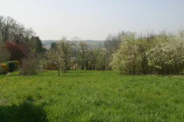 Bauland im Süd-Elsass - Immobilien - Jettingen