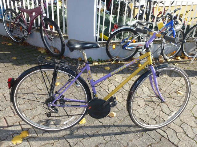 (49) 18 Gang 28 Zoll Rh 46 RIDGEBACK - Fahrraeder - Mainz