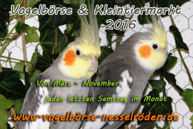 Vogelbörse & Kleintiermarkt NESSELRÖDEN 2016 - Tiere - Nesselröden
