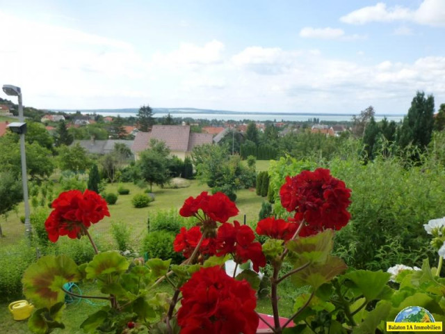 Einfamilienhaus mit Seeblick Nr. 1355 - Immobilien - Vonyarcvashegy
