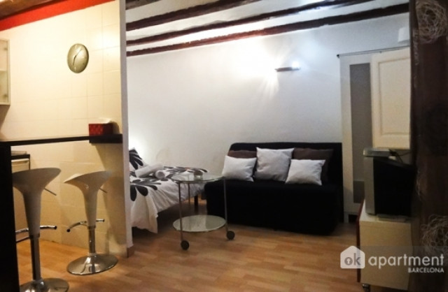 OK Apartment Barcelona - Enzimmerwohnung 4 Personen im Stadtzentrum - Immobilien - Str.: Villaroel, 1 Barcelona