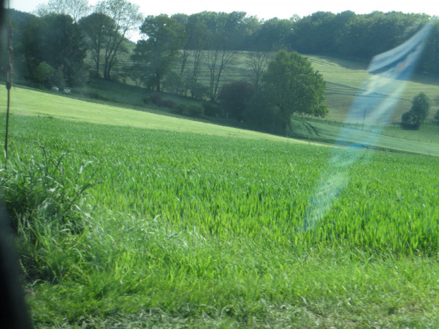 Wir suche Bauernhof  zur Miete - Immobilien - Zittau