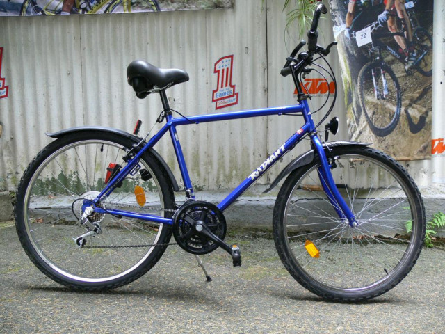 Trekking - Fahrrad von RADIANT , mit 18 Gang von SHIMANO - SIS - Fahrraeder - Braubach