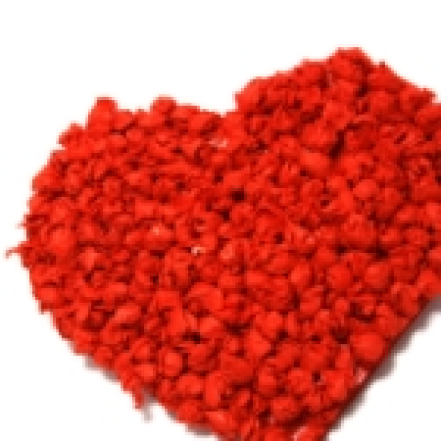 Flirtkurse von sprachenlernen24 - Lernen Lehren Lesen - Bremen