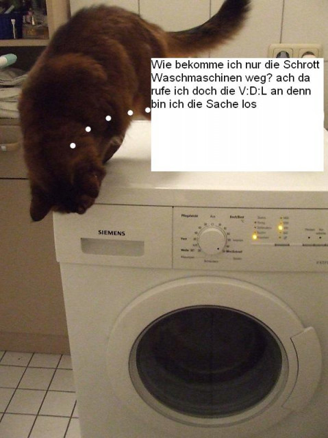 Wir holen kostenlos ab alles aus metall und Eisen oder so - Handwerk Hausbau Garten - Hamburg