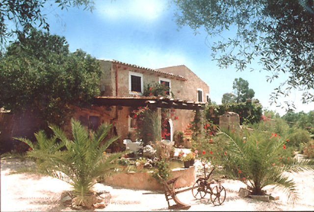 Mallorca: Ferienfinca zur Mandelblüte und über Ostern 2007 noch frei! - Urlaub Reise - Warburg