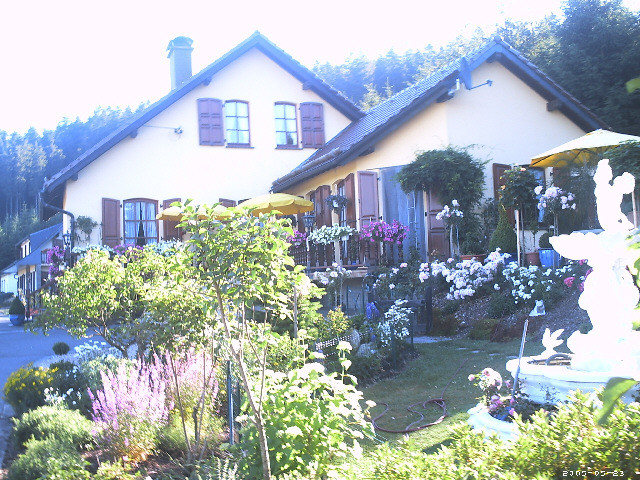 Immobilien - Urlaub Reise - Burg-Reuland