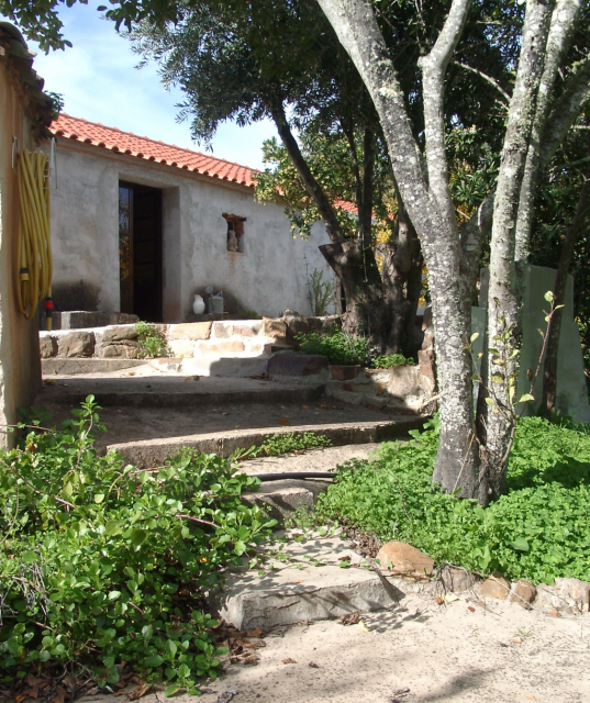 Portugal, zwischen Monchique und Odemira, Farm mit teilweise renoviertem Haus - Immobilien - Monchique