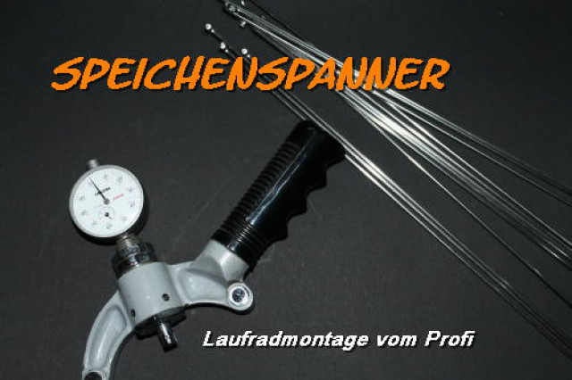 Einspeichen oder Umspeichen von Laufrädern in Handwerkerqualität - Dienstleistungen Business Gewerbe - Horn-Bad Meinberg