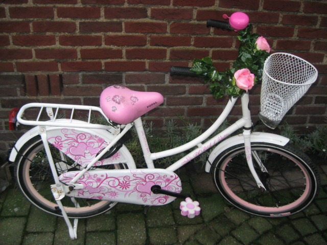 Holland Fahrrad 20 Zoll !!! - Fahrraeder - reuver