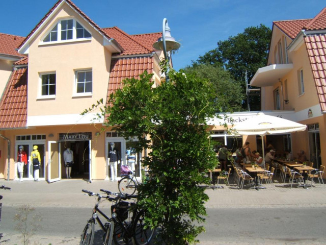 Zingst: 2-Zi-Ferienwohnung SEEWOLF - Urlaub Reise - Ostseeheilbad Zingst