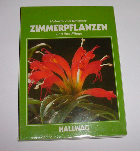 Zimmerpflanzen und ihre Pflege - Lernen Lehren Lesen - Regensburg