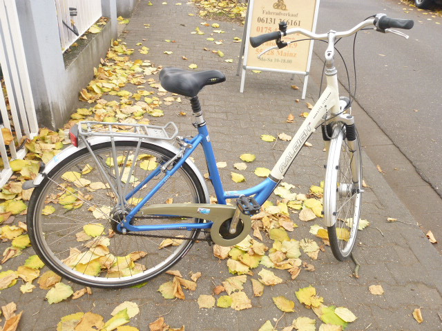 (132) 7 Gang Rücktrittsbremse 28 Zoll Rh 50 Gabel und Sattel gef - Fahrraeder - Mainz