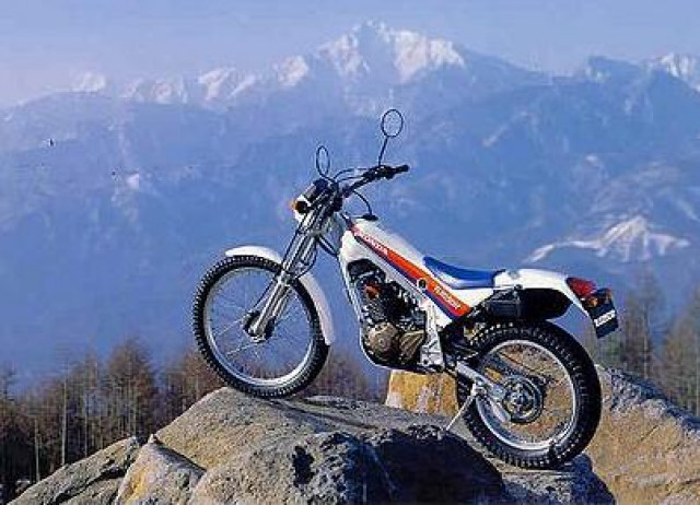 1982 Honda TLR250  - Motorraeder und Teile nach Marken - Tuttlingen