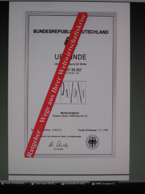 RATGEBER - WEGE AUS IHRER WELTWIRTSCHAFTSKRISE   - Lernen Lehren Lesen - Bocholt