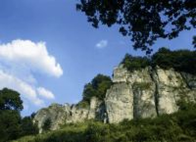 Wandern unter weiß-blauem Himmel im Amberg-Sulzbacher Land - Veranstaltungen Termine - Sulzbach-Rosenberg